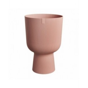 Vaso Elho