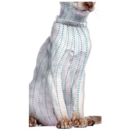 Sedia da Ufficio Alcadozo P&C ARAN229 Azzurro