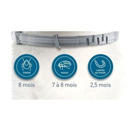 Sedia da Ufficio Alcadozo P&C ARAN350 Rosso