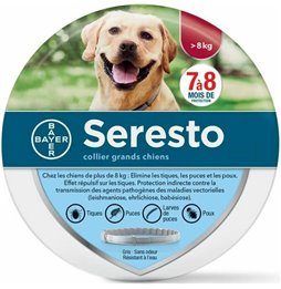 Sedia da Ufficio Alcadozo P&C ARAN350 Rosso