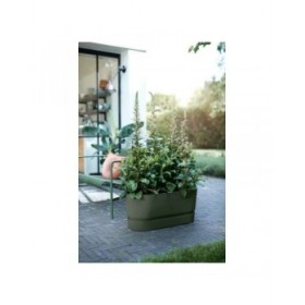 Vaso Elho 462726936000 Verde