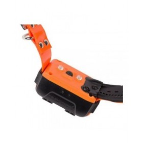 Collare per Cani Num'Axes Canicom GPS GEO1047
