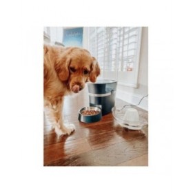 Mangiatoia automatica PetSafe Nero Acciaio inossidabile