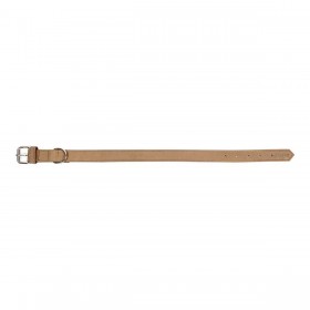 Collare per Cani Gloria Oasis Beige (1,2 x 35 cm)