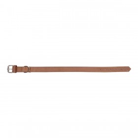 Collare per Cani Gloria Oasis Marrone (1,2 x 35 cm)