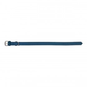 Collare per Cani Gloria Oasis Azzurro (1,5 x 40 cm)