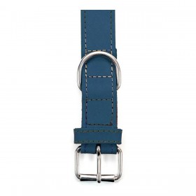 Collare per Cani Gloria Oasis Azzurro (1,5 x 40 cm)