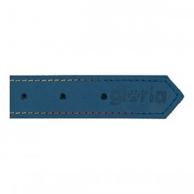 Collare per Cani Gloria Oasis Azzurro (1,5 x 40 cm)