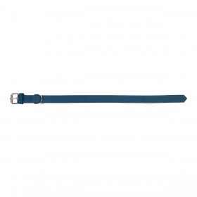 Collare per Cani Gloria Oasis Azzurro (45 x 1,8 cm)