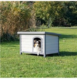 Collare per Cani Gloria Oasis Nero (45 x 1,8 cm)