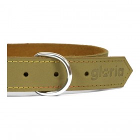 Collare per Cani Gloria Oasis Verde (45 x 1,8 cm)