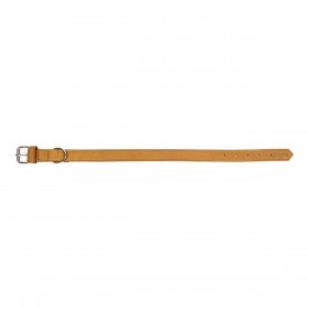 Collare per Cani Gloria Oasis Giallo (50 x 2,1 cm)
