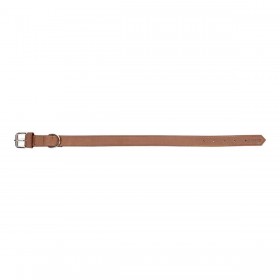Collare per Cani Gloria Oasis Marrone (50 x 2,1 cm)