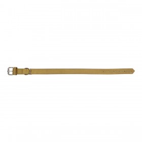 Collare per Cani Gloria Oasis Verde (60 x 3 cm)