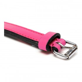 Collare per Cani Gloria Trapunta Fucsia (30 x 1,5 cm)