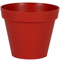 Collare per Cani Gloria Trapunta Giallo (50 x 2,5 cm)