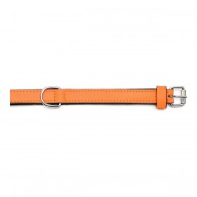 Collare per Cani Gloria Trapunta Arancio (55 x 2,5 cm)