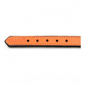 Collare per Cani Gloria Trapunta Arancio (55 x 2,5 cm)