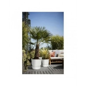 Vaso Elho Greenville Rotonda Bianco Plastica (Ø 29,5 x 27,8 cm)