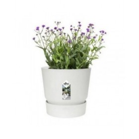 Vaso da Fiori con Piatto Elho Greenville Ø 39 x 36,8 cm Rotondo Bianco Plastica