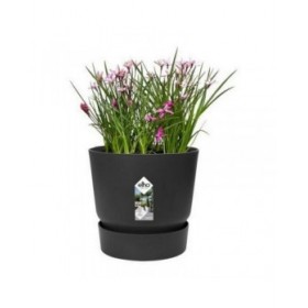Vaso Elho Greenville Nero Plastica Rotondo Rotonda Ø 40 cm Ø 39 x 36,8 cm