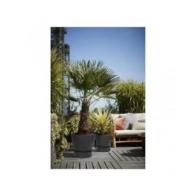 Vaso Elho Greenville Nero Plastica Rotondo Rotonda Ø 40 cm Ø 39 x 36,8 cm