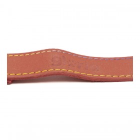 Guinzaglio per Cani Gloria Oasis 1.5 x 100 cm Rosso