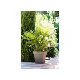 Vaso EDA Tuscan Taupé Plastica Quadrato Ø 50 cm (49,5 x 49,5 x 52,5 cm)