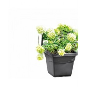 Vaso Deroma Quadrato Antracite Iniettato Ø 38 cm