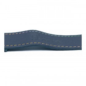 Guinzaglio per Cani Gloria Oasis 3 x 60 cm Azzurro