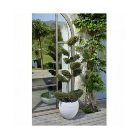 Vaso EDA Graphit Rotondo Bianco Ø 50 cm