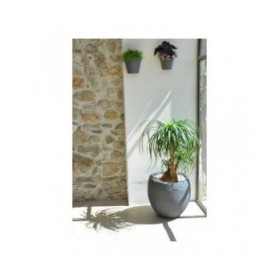Vaso EDA Graphit Rotonda Plastica Grigio scuro (Ø 50 x 45 cm)