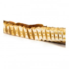 Snack per Cani Gloria Pesce (150 g)