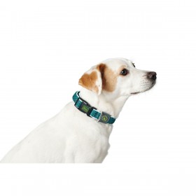 Collare per Cani Hunter Turchese 12