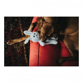 Giocattoli per cani Hunter Terni Grigio Coniglio