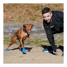 Stivali Pawz Cane 12 Unità Taglia XL Verde