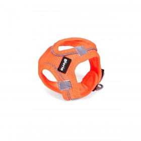 Imbracatura per Cani Gloria Trek Star 24-26 cm 28-28,6 cm Arancio XXS