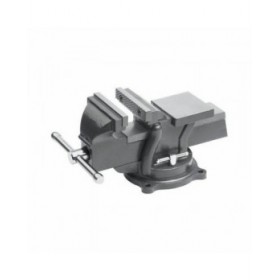Vite da banco per carpenteria Meister 100 mm