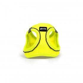 Imbracatura per Cani Gloria Trek Star 27-28 cm 31-34,6 cm Giallo XS
