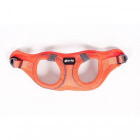 Imbracatura per Cani Gloria Trek Star 32,8-35,4 cm 45-47 cm Arancio M