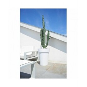 Vaso Riviera Bianco Plastica Quadrato Ø 40 cm