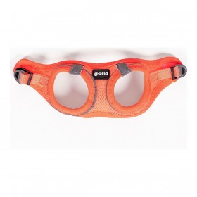 Imbracatura per Cani Gloria Air Mesh Trek Star Regolabile Arancio L (33,4-35 cm)