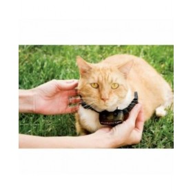 Collare per gatti PetSafe Prf-3004xw-20