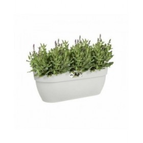 Vaso sospeso Elho Bianco Plastica 24 x 46 x 26,5 cm
