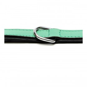 Collare per Cani Gloria Trapunta Verde (40 x 2 cm)