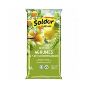 Terriccio Algoflash TAGRUM6 Agrumi Mediterraneo 6 L