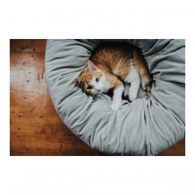 Letto per Cani Hunter MIRANDA Antracite 50 x 50 cm