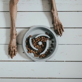 Ciotola per cani Hunter Melammina 900 ml