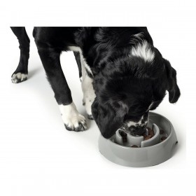 Ciotola per cani Hunter Melammina 900 ml