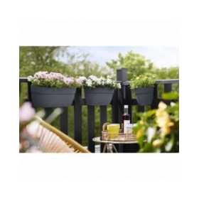 Vaso sospeso Elho 3662603642500 Plastica 24 x 36 x 26,5 cm